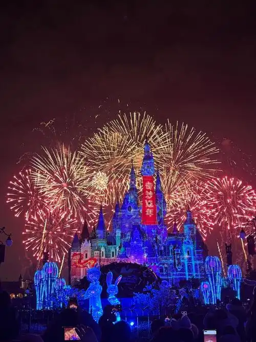 新年行大运!! 上海·上海迪士尼度假区|上海市_网易订阅