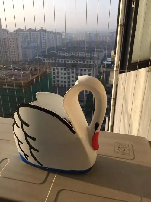 给我家孩子做的幼儿园作业,拿碧浪洗衣液的瓶子,做了只天鹅,莫名的连