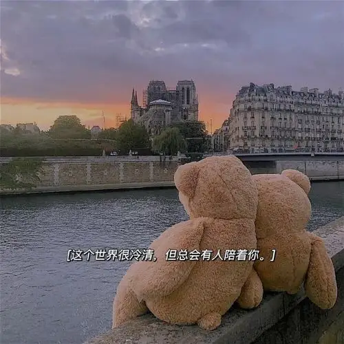 小熊文字系列朋友圈背景图