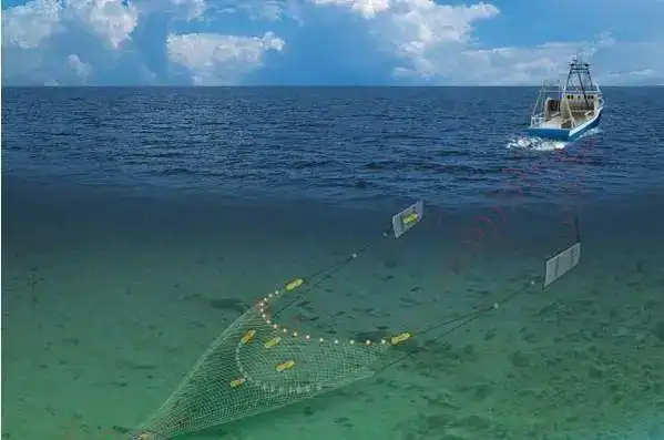 长江流域白鳍豚保护区内电拖网捕鱼这伙人栽了