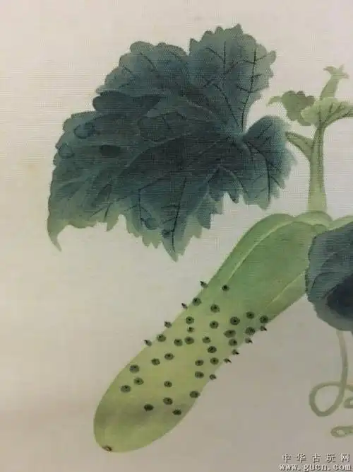 玥玥的幸福未来的相册-黄瓜