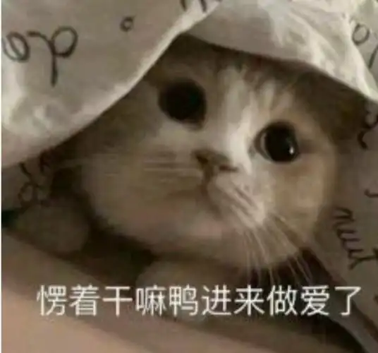 尸体火化把有hs内容的表情包发给了班主任同事