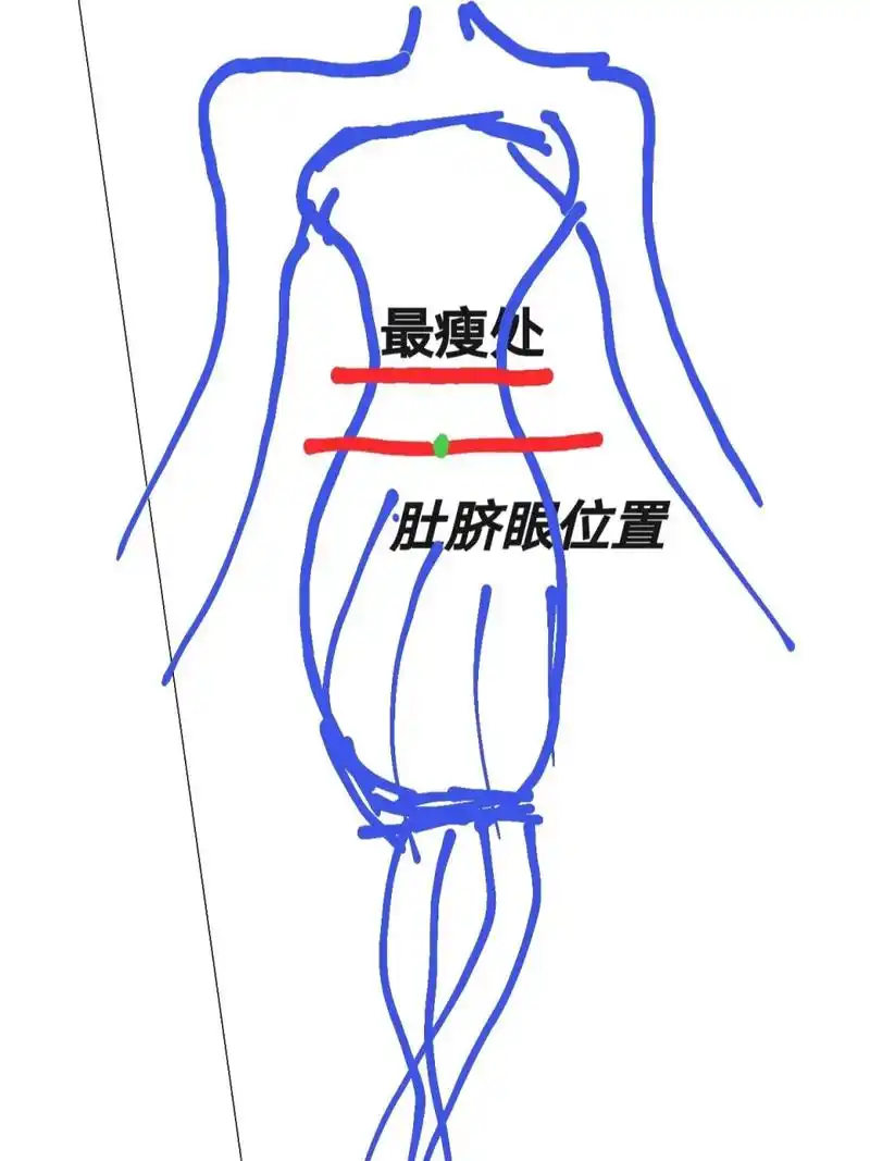 大家腰围都是量哪个位置的呀? 是上面最瘦的位置?还是肚脐眼那一Ζ?