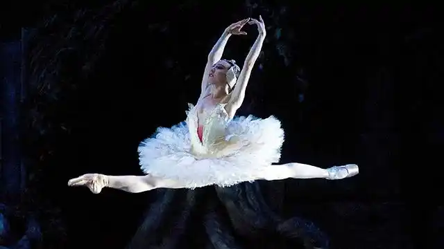 马晓东(中国国家芭蕾舞团主要演员)4月24日白天鹅奥杰塔/黑天鹅奥黛丽