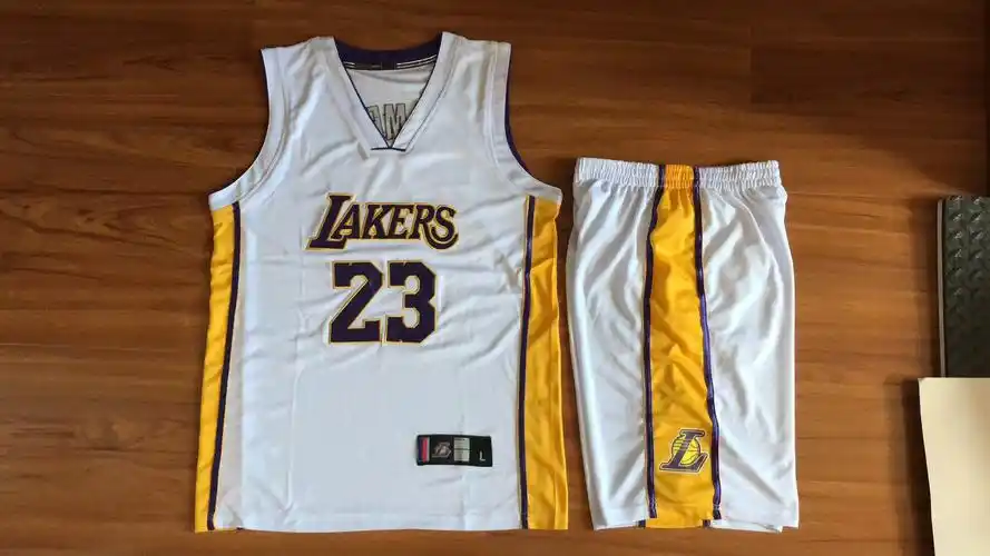 湖人队23号詹姆斯球衣男款透气吸汗刺绣篮球服套装白紫黄色批发