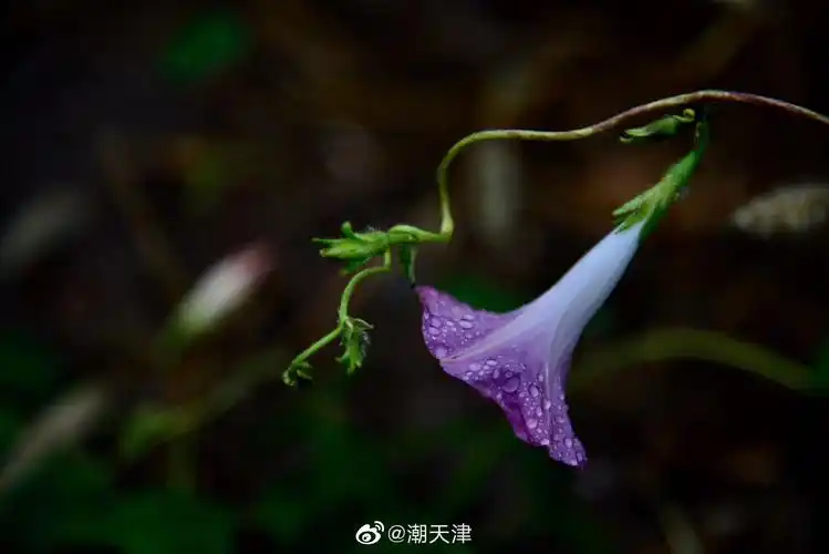 冷秋细雨霏霏by王老师