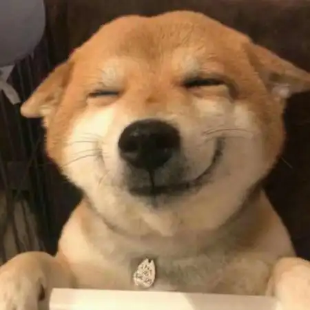 特别沙雕的头像可爱沙雕动物头像图片