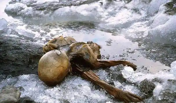 首个现身的时间旅行者诸多不解之谜到底是巧合还是证据