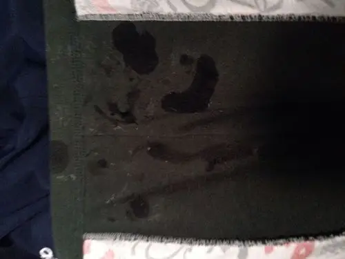 请问这个是遗精吗?