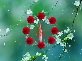 祝愿天下母亲节日快乐,身体健康!