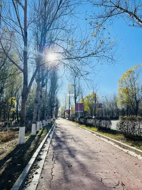 东北的秋天天气不错