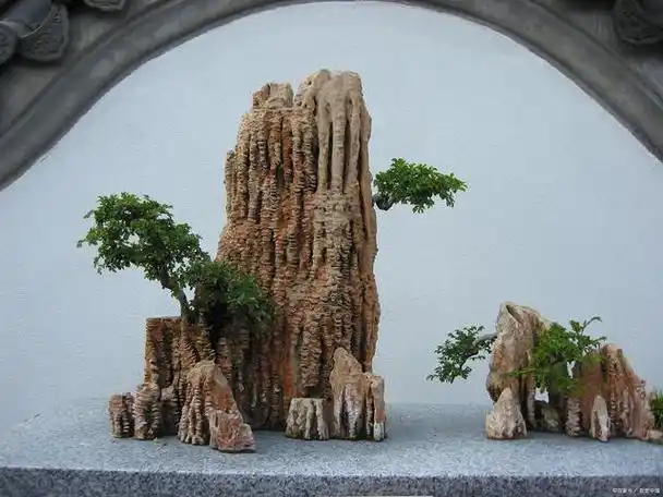 假山盆景制作入门教程,一看就会!