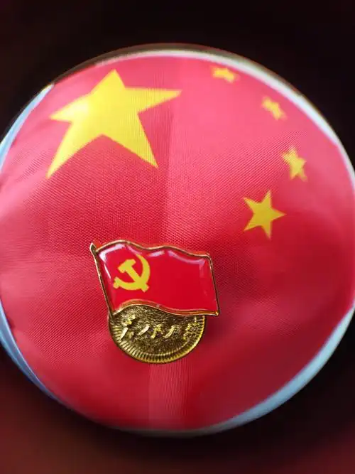 党徽闪耀,党旗飘扬!