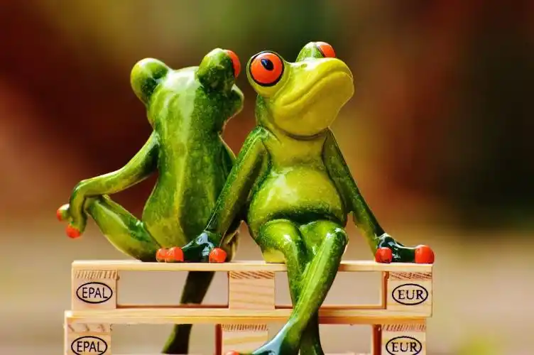 搞怪有趣的玩具青蛙图片第20张