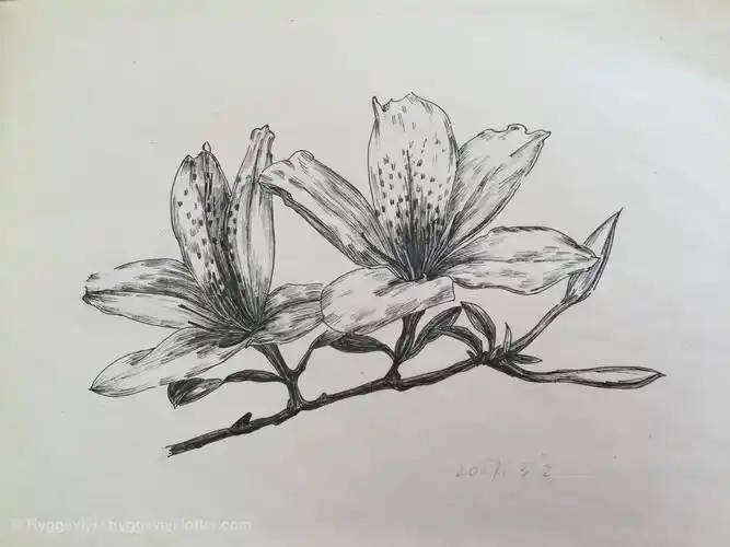 杜鹃花与鸟,怨艳两何赊.疑是口中血,滴成枝上花.