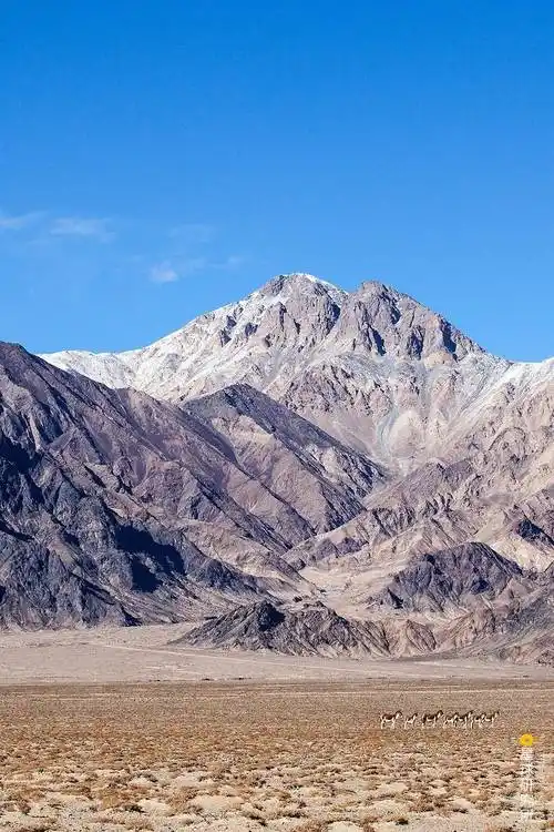 荒凉沙漠图片特别荒凉的图片