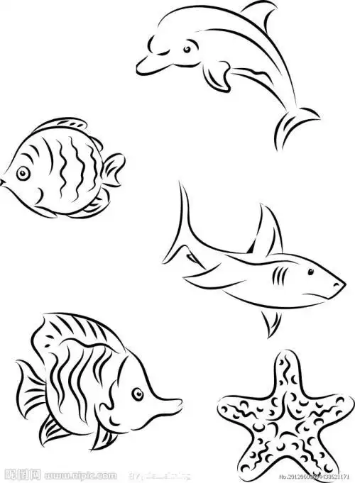 海洋生物的绘画简笔画