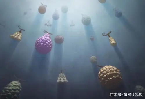 恶魔果实图鉴到底是什么书?