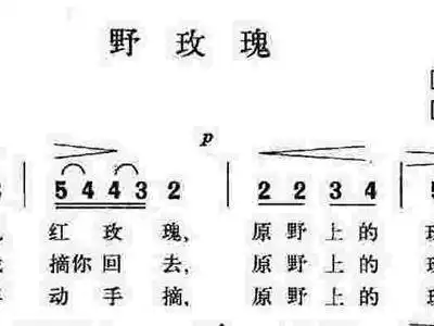 野玫瑰 歌谱 简谱