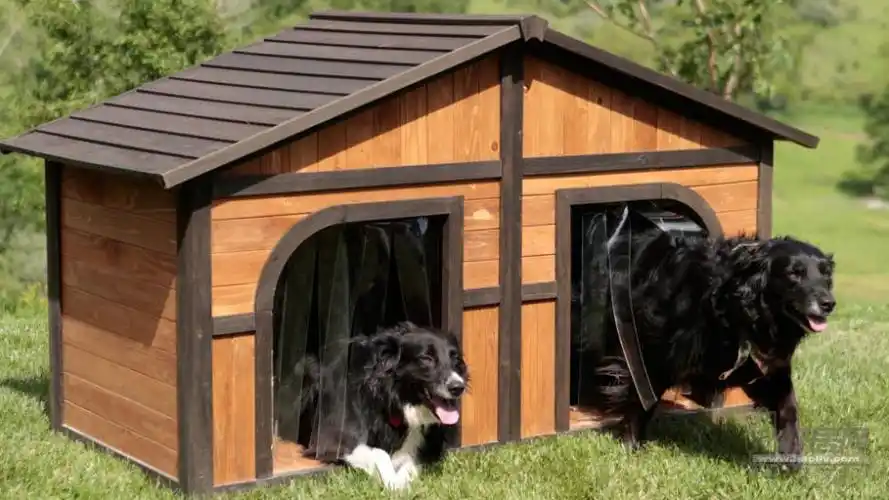 还设置了楼梯和甲板,狗狗可以在甲板上晒太阳.