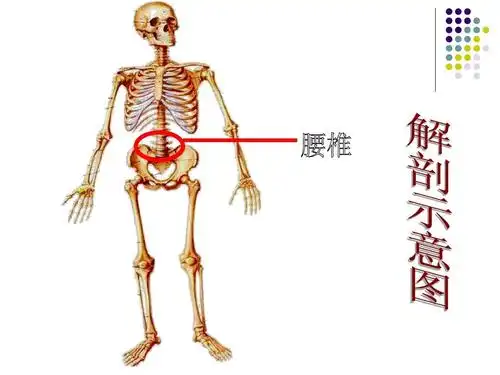 腰椎间盘突出手术ppt