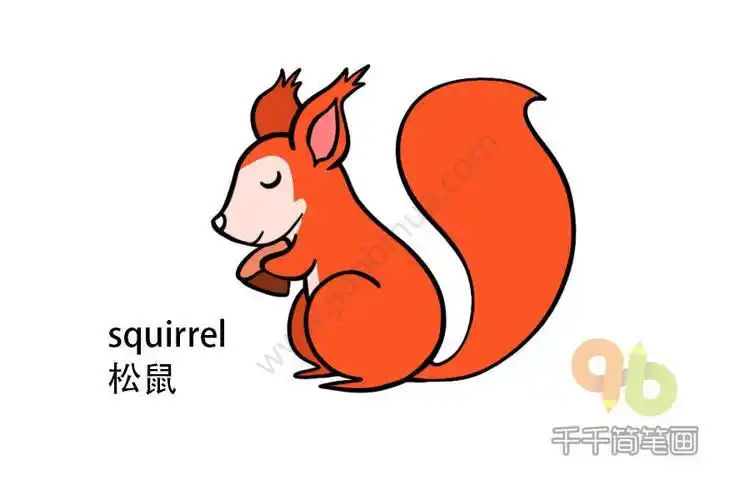 小松鼠的大尾巴简笔画彩色