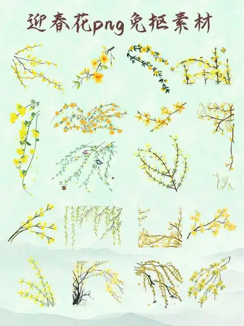 春天素材春季迎春花素材png免抠素材