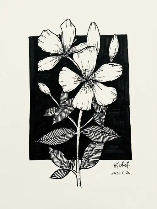 控笔练习打卡  #针管笔手绘  ##黑白线描装饰画  #控笔训练  #每日