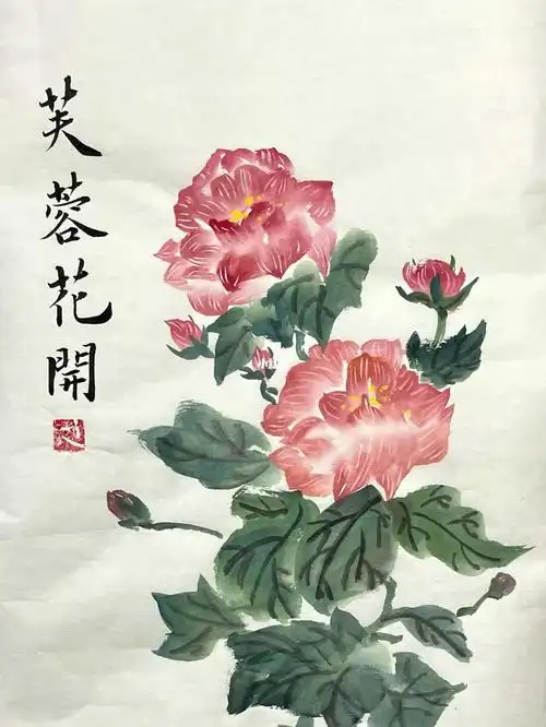 画一朵芙蓉花