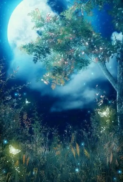 插画,风景,人物,森系,动漫,手绘,水彩,涂鸦,星空,唯美,意境,背景,壁纸