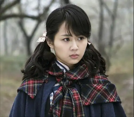 《战长沙》 ( 2014 )