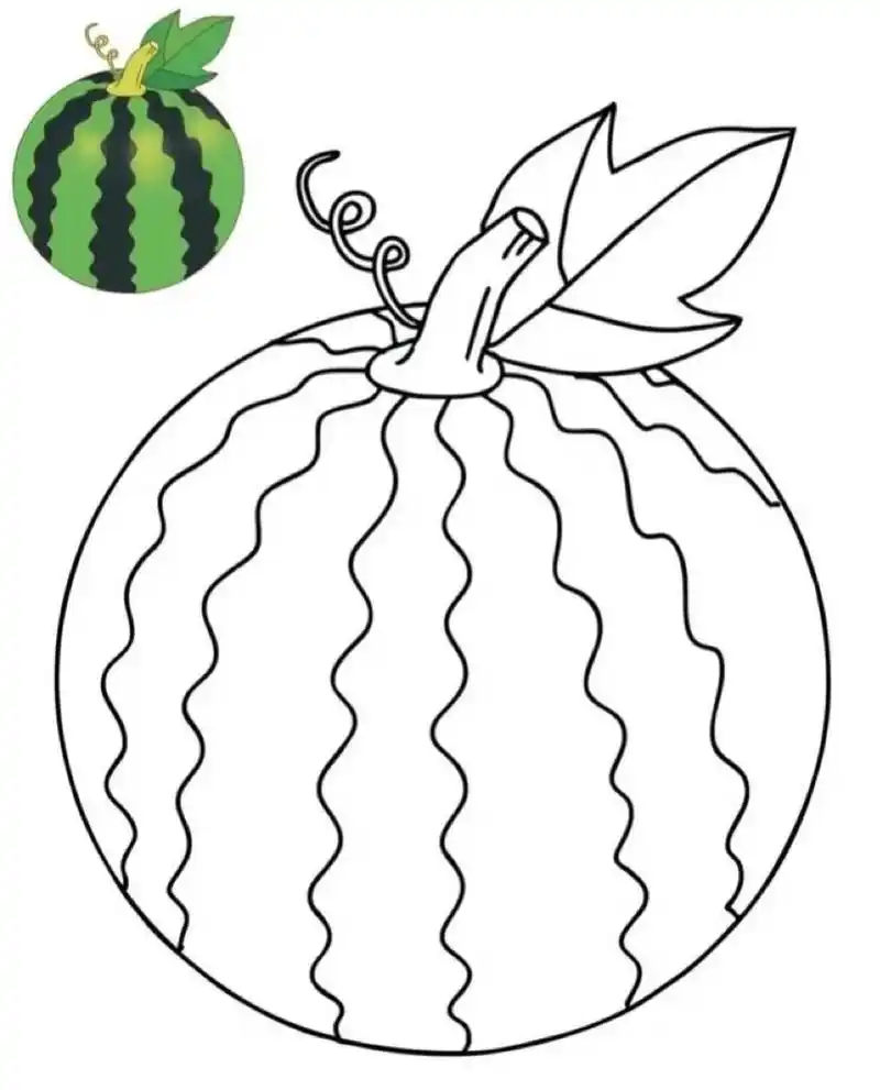 幼儿园水果&水果简笔画   水果简笔画