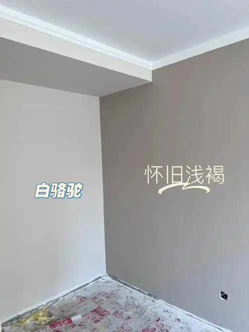 多乐士白骆驼最适合卧室的颜色