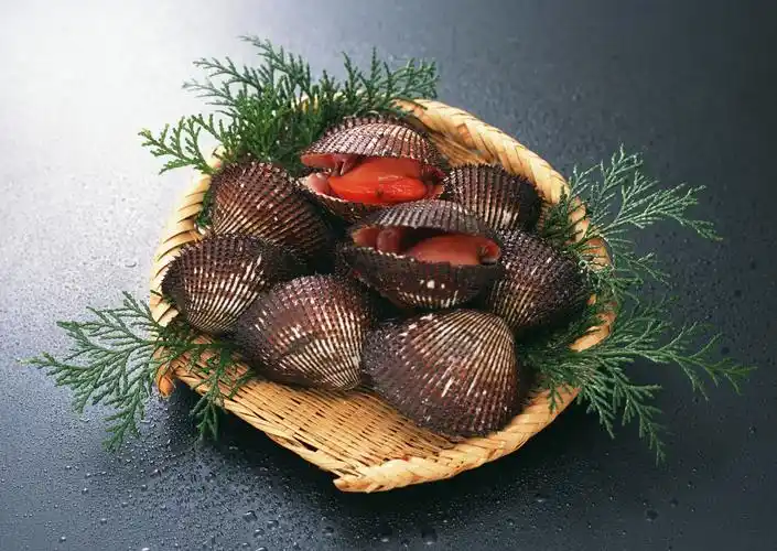 扇贝图片海鲜贝类扇贝