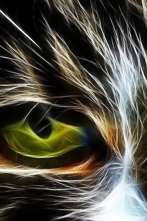 iphone 壁纸 眼睛,猫,抽象