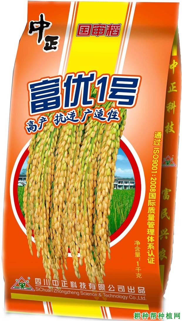 富优1号杂交籼稻水稻品种好不好