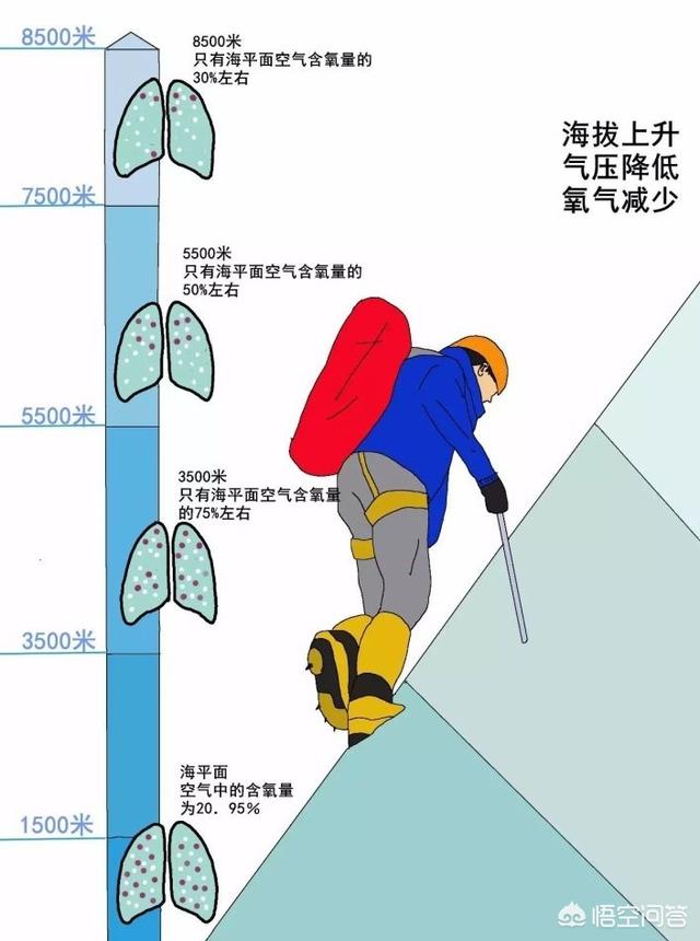 头条问答 - 为什么一些受过训练的运动员高原反应更严重?(2个回答)