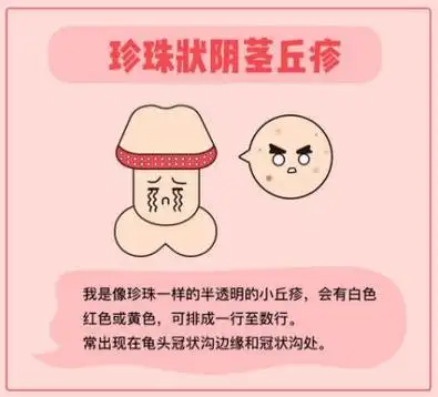 丁丁上有小疙瘩?这是性病吗.