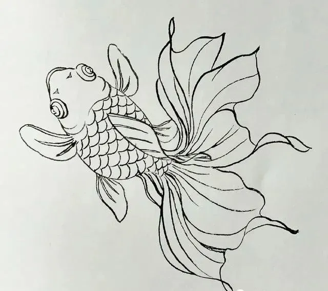白描鱼画选页