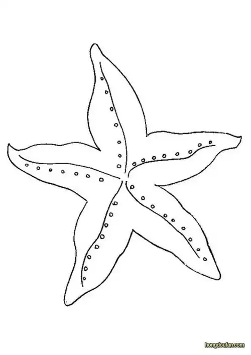 小元素,小鱼,小鱼简笔画,幼儿涂色,暑假,海底世界,海星,海星简笔画