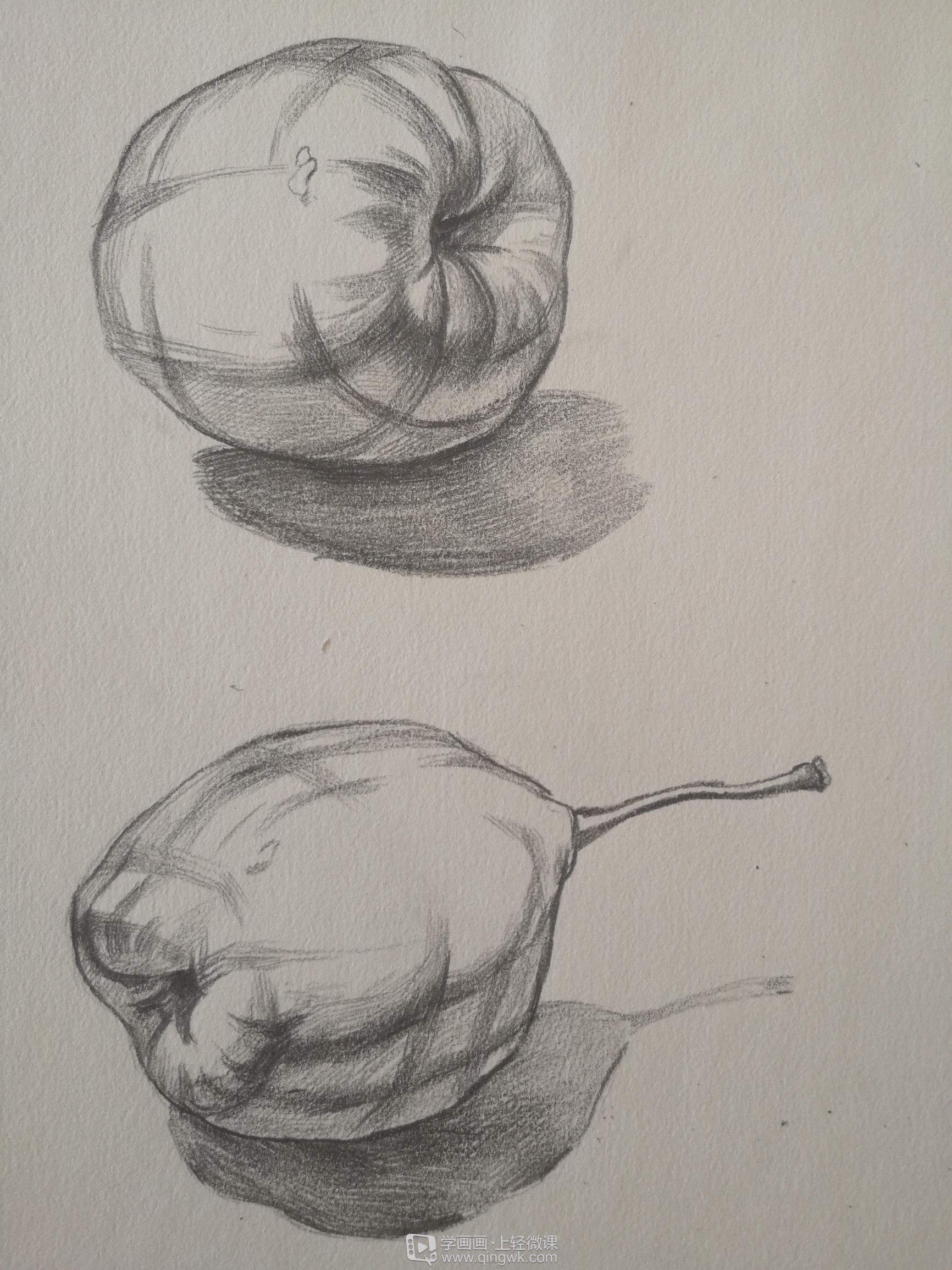 水果临摹素描静物绘制训练