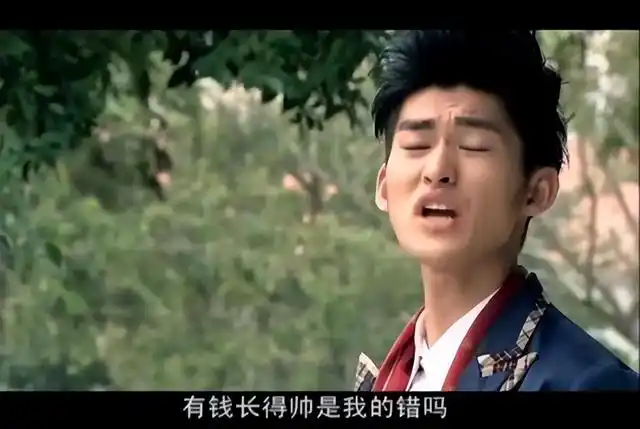 不得不说小时候在看《一起来看流星雨》的时候虽然觉得他有点没事儿找