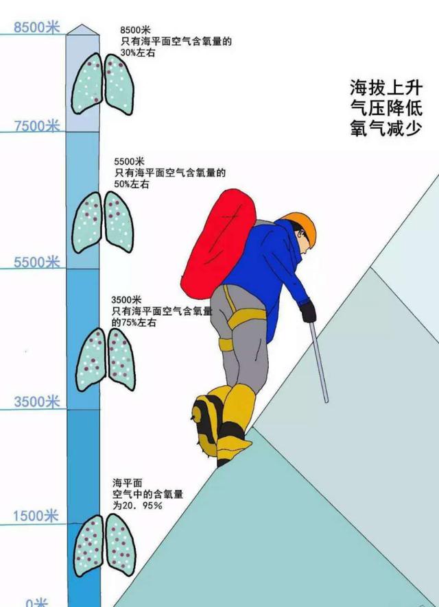 这是一篇关于高原反应的详细解说