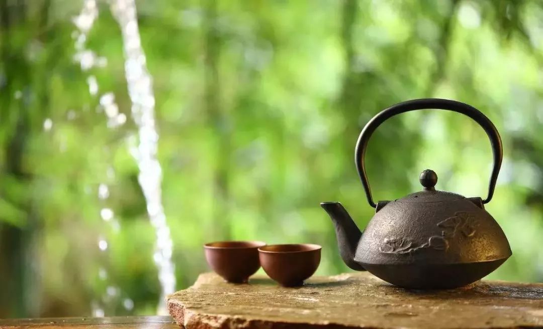 茶道圈二十个冷知识知道三个以上你就是大神