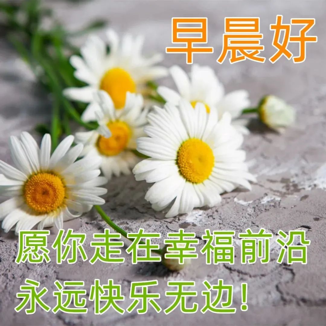 特漂亮的早上好问候图片 微信清晨问候大家的早安祝福语