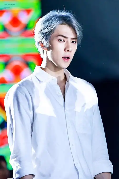 在我心头跳跃的银狐少年——吴世勋