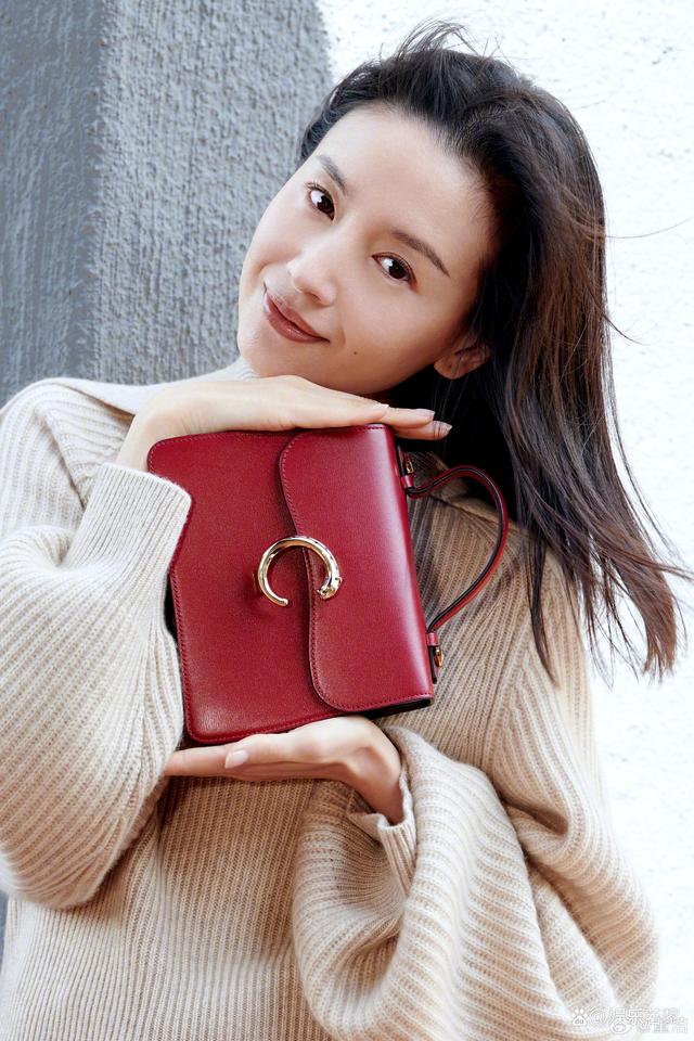 董洁,气质蕴藏在骨子里,依旧温婉高级,美得不可方物!