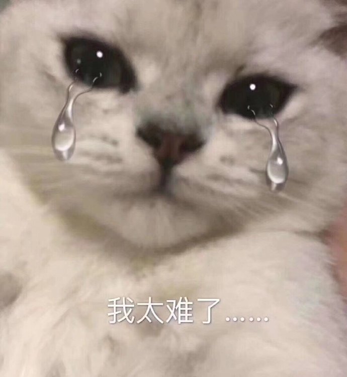萌宠猫星人我太难了难受呆萌可爱gif动图_动态图_表情包下载_soogif