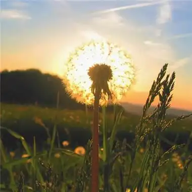 阳光好运的微信头像图片 微信头像图片大全 -【爱个性】