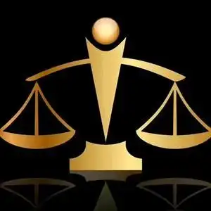 肇庆禅信法律咨询头像